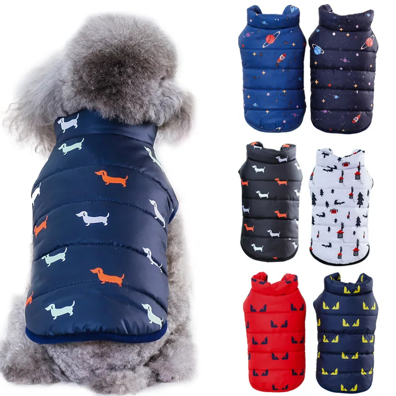 Roupas para cães pequenos